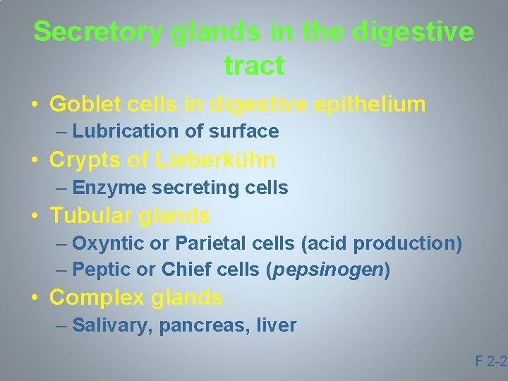 Secretory glands in the digestive tract • Goblet cells in digestive epithelium – Lubrication