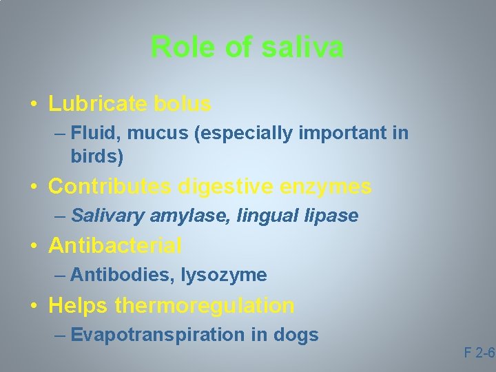 Role of saliva • Lubricate bolus – Fluid, mucus (especially important in birds) •