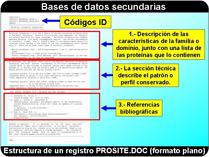 Bases de datos secundarias Códigos ID 1. - Descripción de las características de la Bases de datos secundarias Códigos ID 1. - Descripción de las características de la