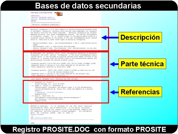 Bases de datos secundarias Descripción Parte técnica Referencias Registro PROSITE. DOC con formato PROSITE