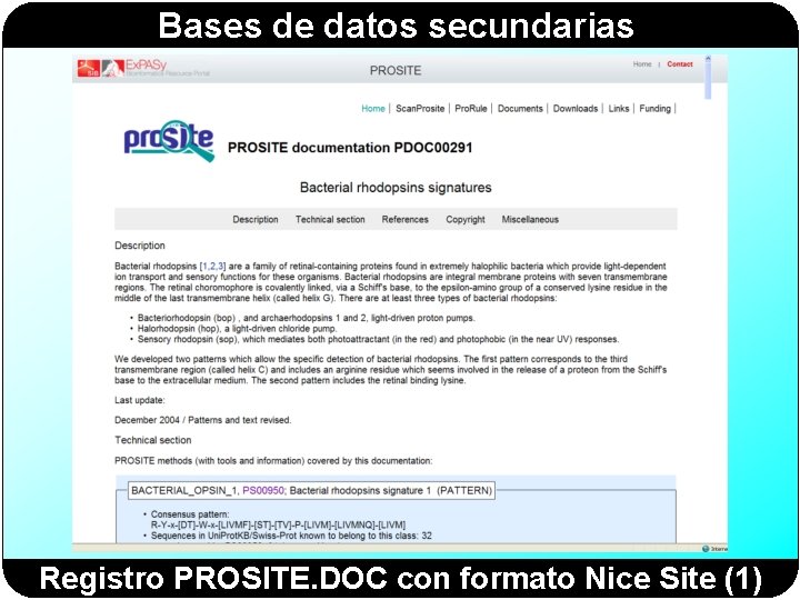 Bases de datos secundarias Registro PROSITE. DOC con formato Nice Site (1) 