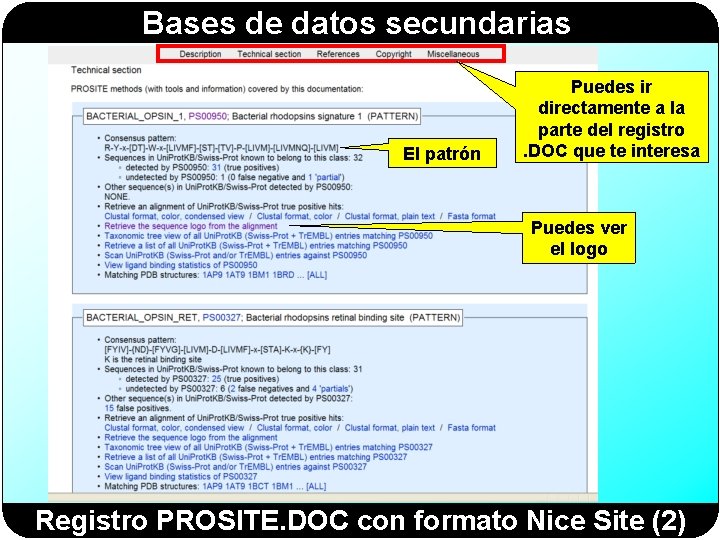 Bases de datos secundarias El patrón Puedes ir directamente a la parte del registro.