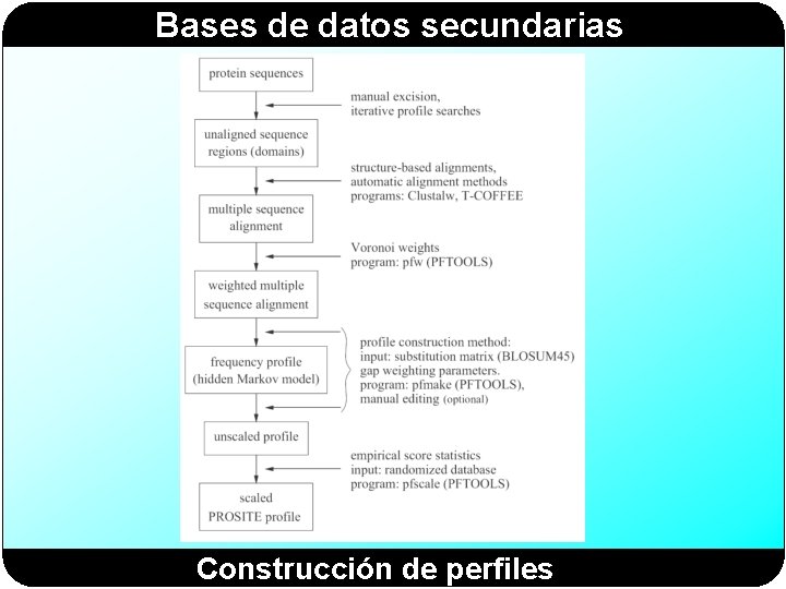 Bases de datos secundarias Construcción de perfiles 