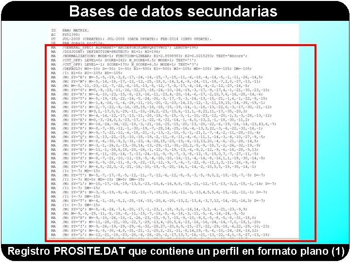 Bases de datos secundarias Registro PROSITE. DAT que contiene un perfil en formato plano