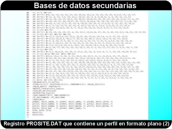 Bases de datos secundarias Registro PROSITE. DAT que contiene un perfil en formato plano