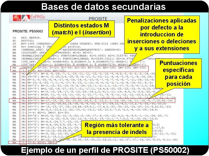 Bases de datos secundarias Distintos estados M (match) e I (insertion) Penalizaciones aplicadas por