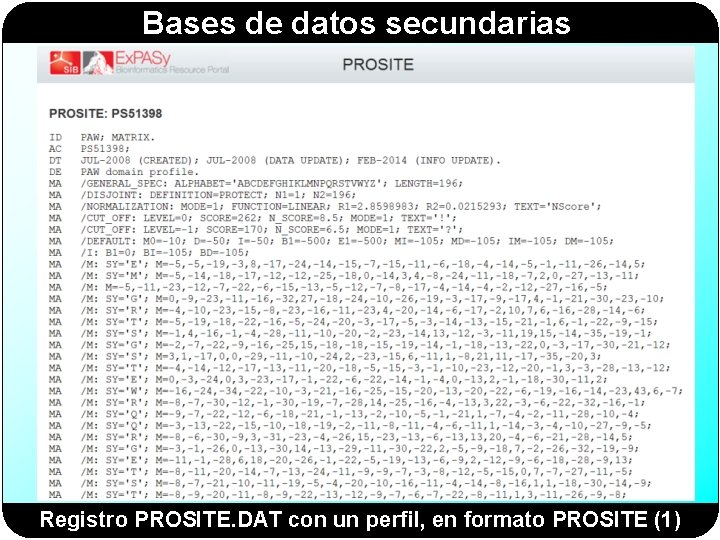 Bases de datos secundarias Registro PROSITE. DAT con un perfil, en formato PROSITE (1)
