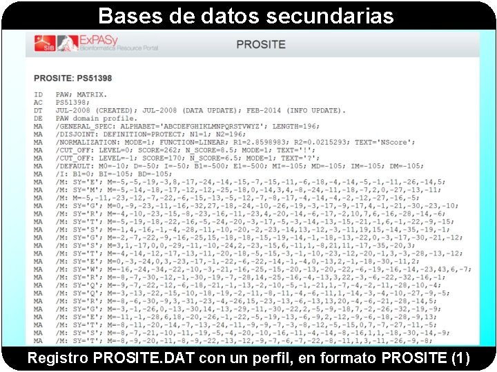 Bases de datos secundarias Registro PROSITE. DAT con un perfil, en formato PROSITE (1) Bases de datos secundarias Registro PROSITE. DAT con un perfil, en formato PROSITE (1)