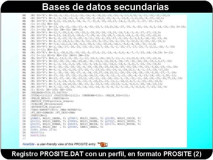Bases de datos secundarias Registro PROSITE. DAT con un perfil, en formato PROSITE (2)
