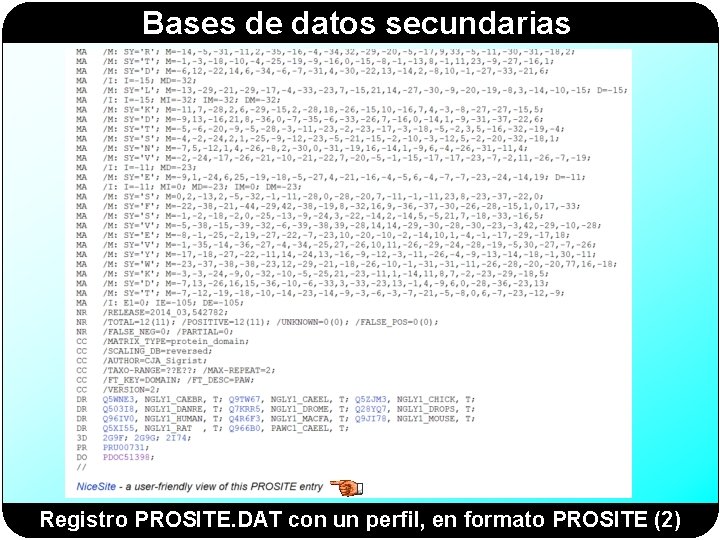 Bases de datos secundarias Registro PROSITE. DAT con un perfil, en formato PROSITE (2) Bases de datos secundarias Registro PROSITE. DAT con un perfil, en formato PROSITE (2)