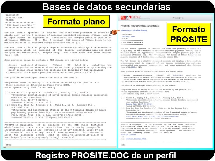 Bases de datos secundarias Formato plano Formato PROSITE Registro PROSITE. DOC de un perfil