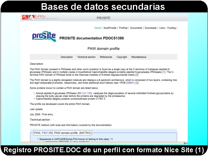 Bases de datos secundarias Registro PROSITE. DOC de un perfil con formato Nice Site