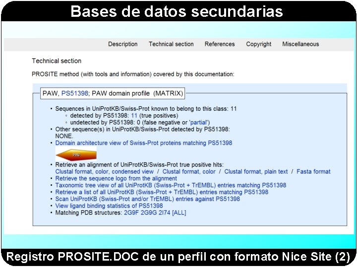 Bases de datos secundarias Registro PROSITE. DOC de un perfil con formato Nice Site