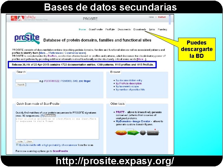 Bases de datos secundarias Puedes descargarte la BD http: //prosite. expasy. org/ 