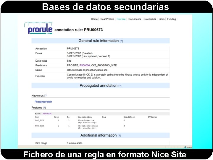 Bases de datos secundarias Fichero de una regla en formato Nice Site 