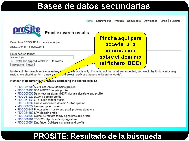 Bases de datos secundarias Pincha aquí para acceder a la información sobre el dominio