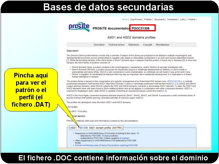 Bases de datos secundarias Pincha aquí para ver el patrón o el perfil (el