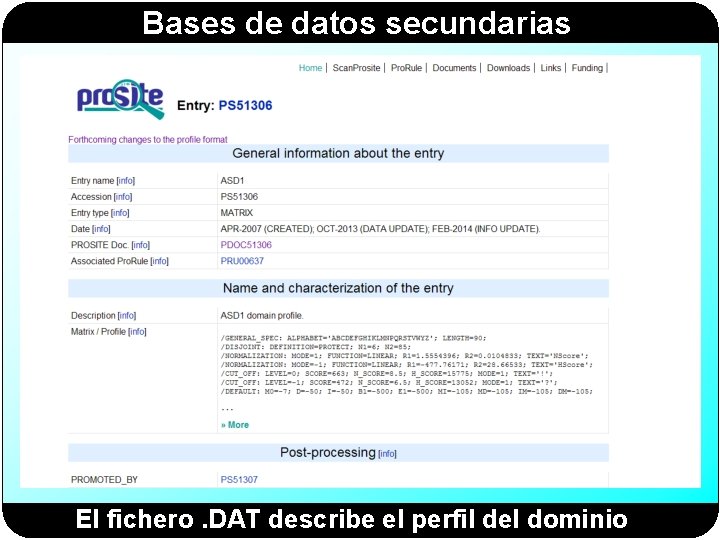 Bases de datos secundarias El fichero. DAT describe el perfil del dominio Bases de datos secundarias El fichero. DAT describe el perfil del dominio