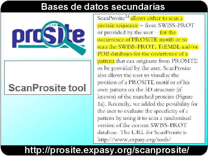Bases de datos secundarias http: //prosite. expasy. org/scanprosite/ Bases de datos secundarias http: //prosite. expasy. org/scanprosite/