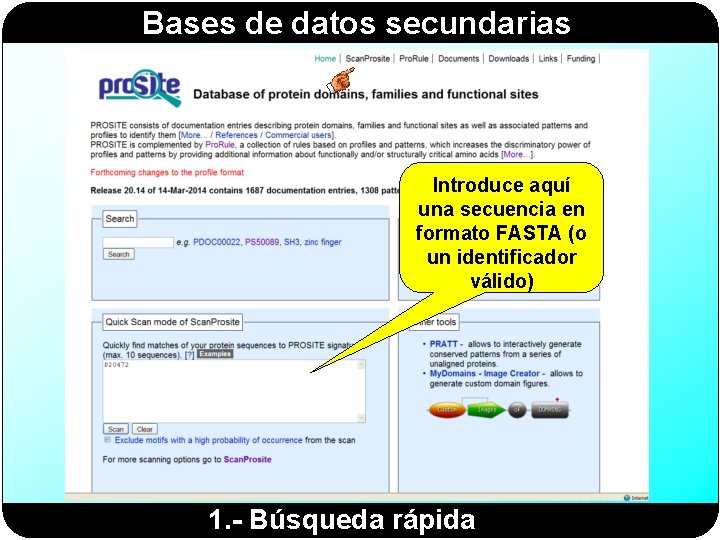 Bases de datos secundarias Introduce aquí una secuencia en formato FASTA (o un identificador