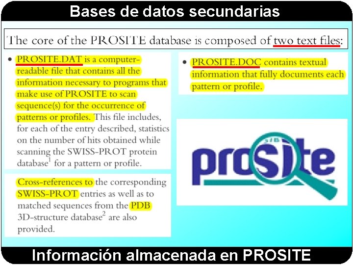 Bases de datos secundarias Información almacenada en PROSITE Bases de datos secundarias Información almacenada en PROSITE