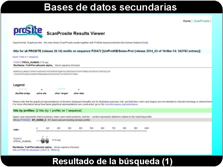 Bases de datos secundarias Resultado de la búsqueda (1) 