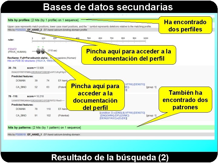 Bases de datos secundarias Ha encontrado dos perfiles Pincha aquí para acceder a la