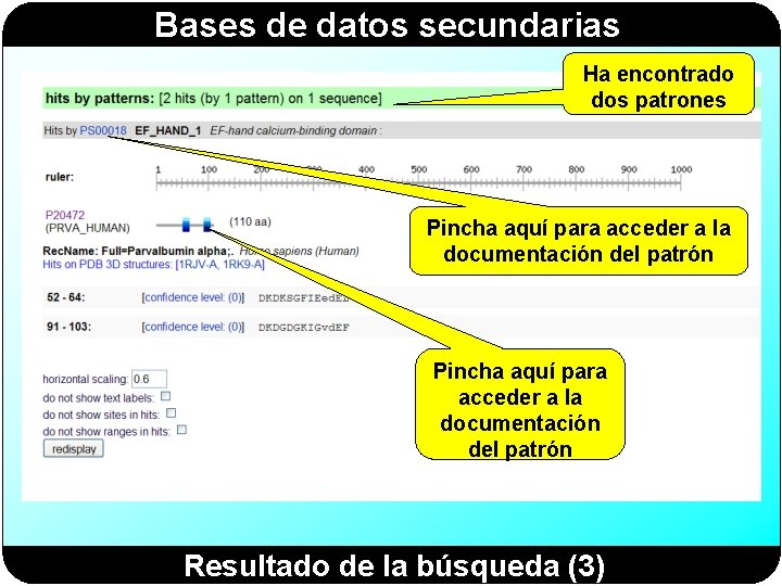 Bases de datos secundarias Ha encontrado dos patrones Pincha aquí para acceder a la Bases de datos secundarias Ha encontrado dos patrones Pincha aquí para acceder a la