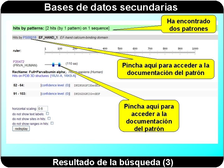 Bases de datos secundarias Ha encontrado dos patrones Pincha aquí para acceder a la