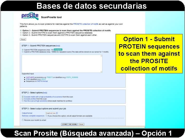 Bases de datos secundarias Option 1 - Submit PROTEIN sequences to scan them against