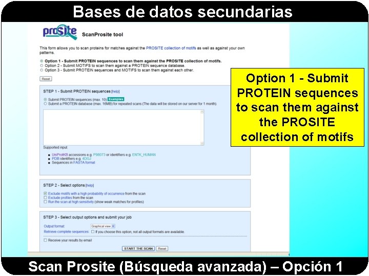 Bases de datos secundarias Option 1 - Submit PROTEIN sequences to scan them against Bases de datos secundarias Option 1 - Submit PROTEIN sequences to scan them against