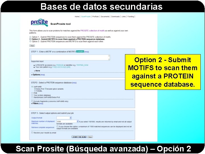 Bases de datos secundarias Option 2 - Submit MOTIFS to scan them against a