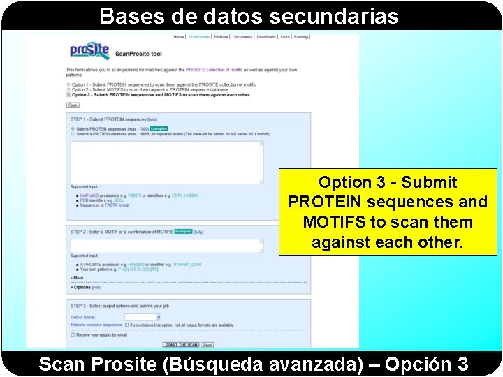 Bases de datos secundarias Option 3 - Submit PROTEIN sequences and MOTIFS to scan Bases de datos secundarias Option 3 - Submit PROTEIN sequences and MOTIFS to scan