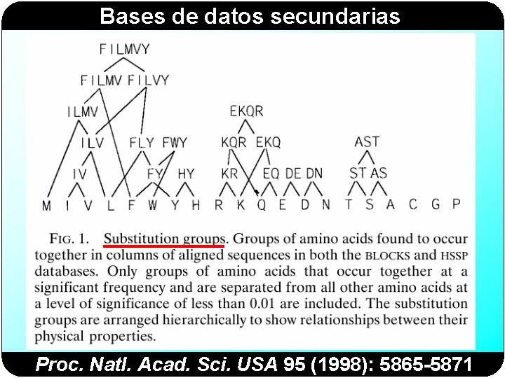 Bases de datos secundarias Proc. Natl. Acad. Sci. USA 95 (1998): 5865 -5871 