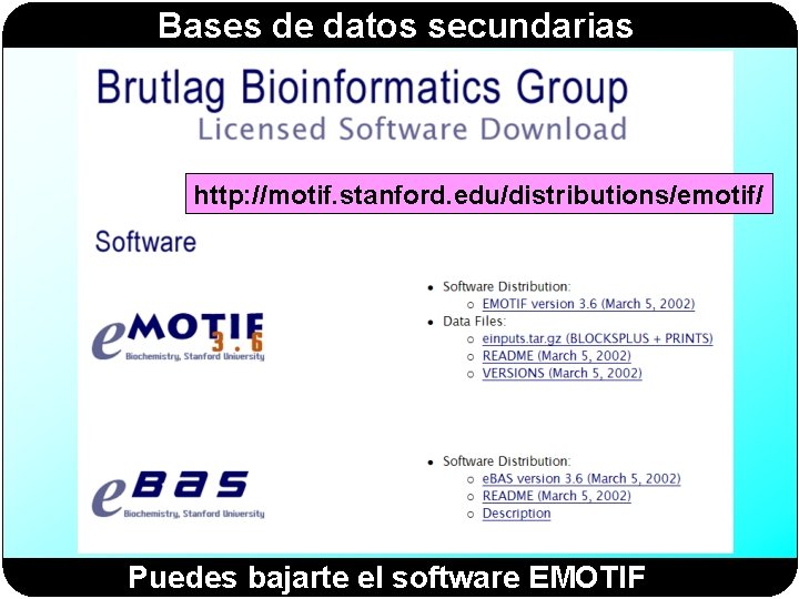 Bases de datos secundarias http: //motif. stanford. edu/distributions/emotif/ Puedes bajarte el software EMOTIF 