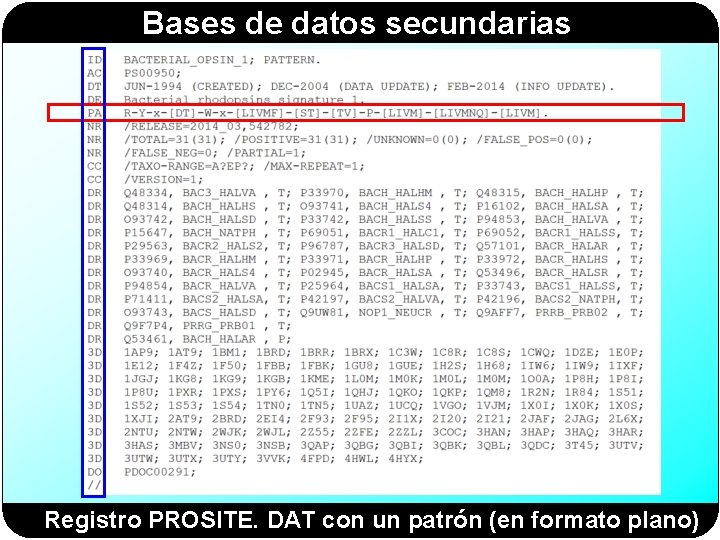 Bases de datos secundarias Registro PROSITE. DAT con un patrón (en formato plano) 
