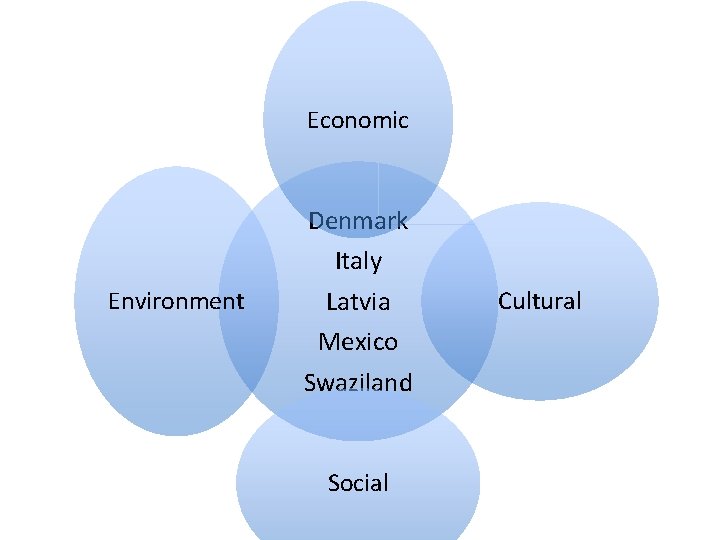 Economic Environment Denmark Italy Latvia Mexico Swaziland Social Cultural 