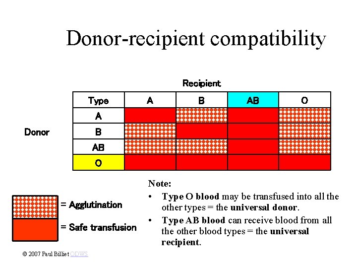 Donor-recipient compatibility Recipient Type A B AB O A Donor B AB O =