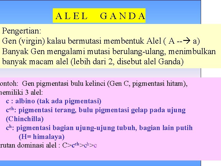 A L E L G A N D A Pengertian: Gen (virgin) kalau bermutasi