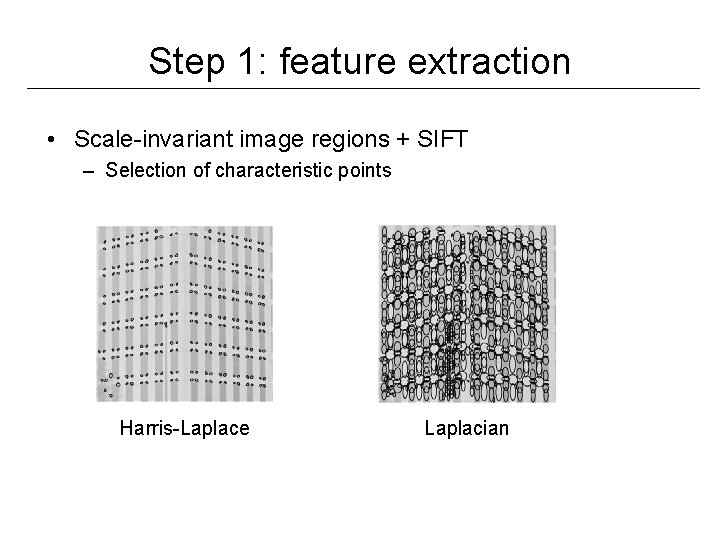 Step 1: feature extraction • Scale-invariant image regions + SIFT – Selection of characteristic