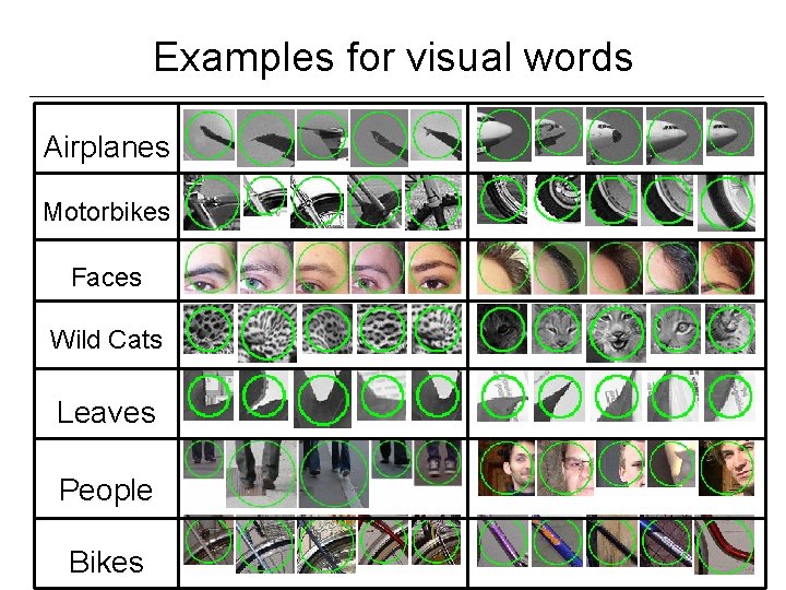 Examples for visual words Airplanes Motorbikes Faces Wild Cats Leaves People Bikes 