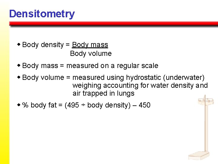 Densitometry w Body density = Body mass Body volume w Body mass = measured