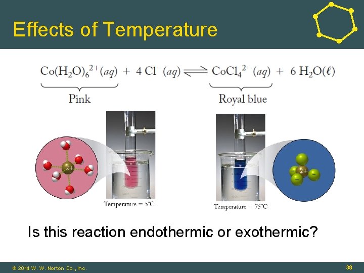 Effects of Temperature Is this reaction endothermic or exothermic? © 2014 W. W. Norton