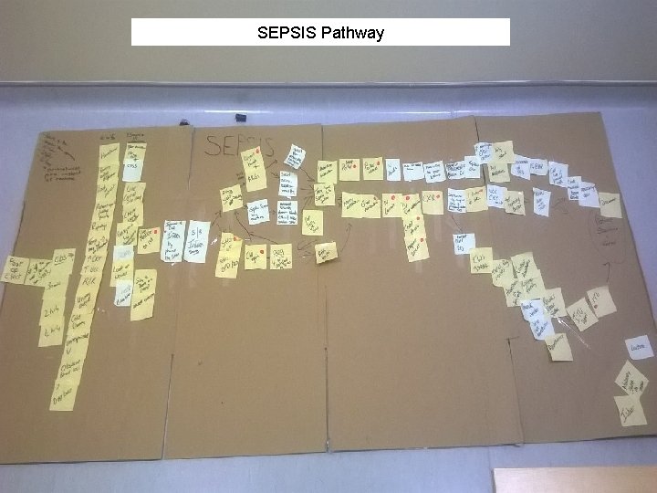 SEPSIS Pathway 