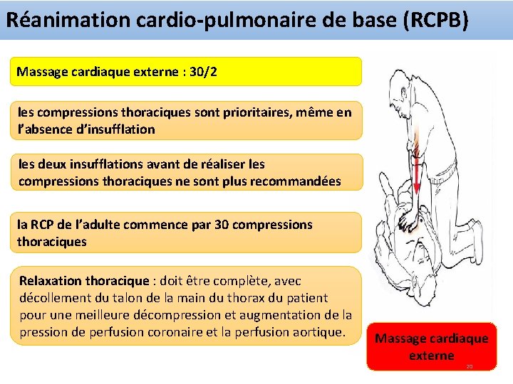 Réanimation cardio-pulmonaire de base (RCPB) Massage cardiaque externe : 30/2 les compressions thoraciques sont
