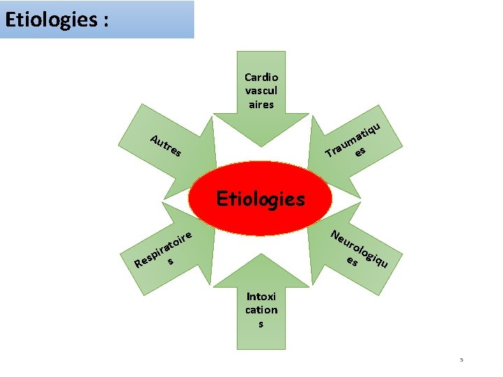 Etiologies : Cardio vascul aires u Au tiq a um s a r e