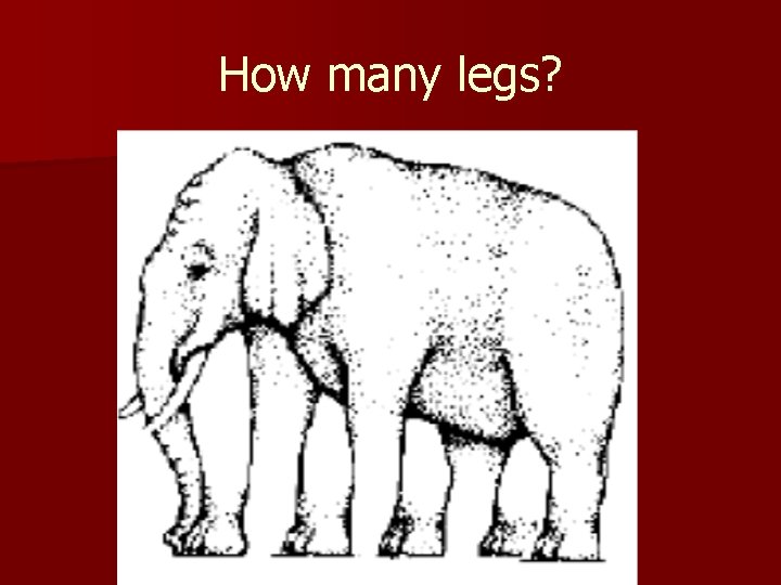 How many legs? 