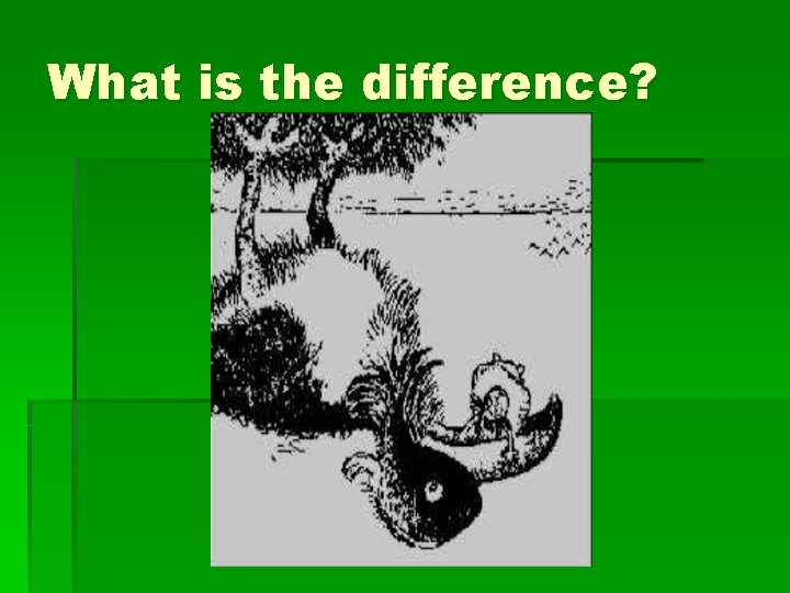 What is the difference? 