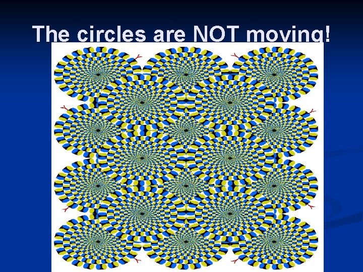 The circles are NOT moving! 