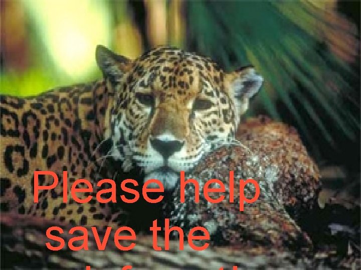 Please help save the 